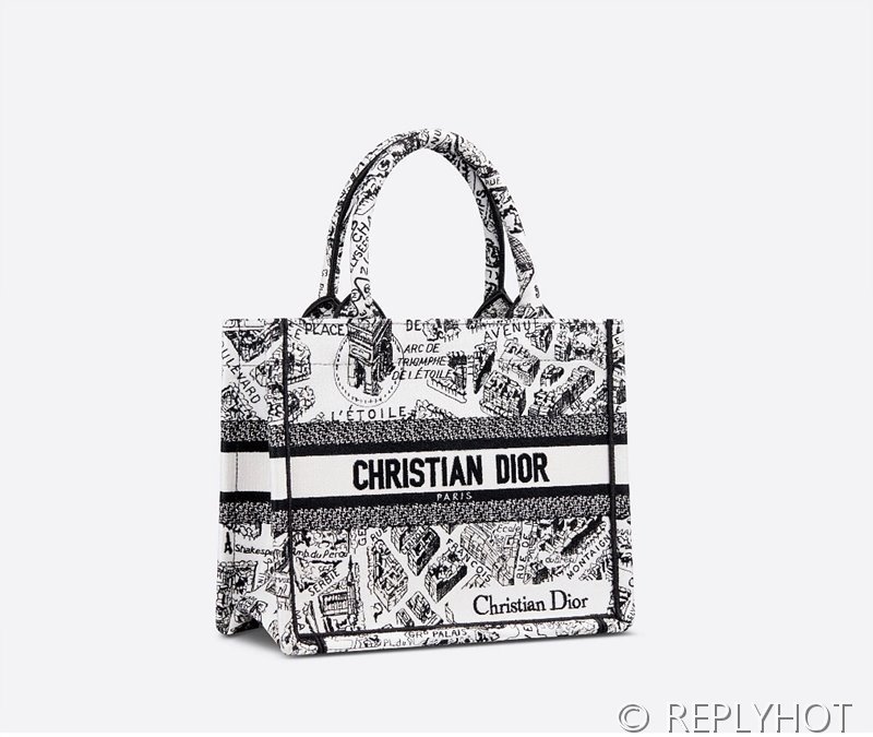 디올 북 토트 백 / 스몰 / 파리 맵 [매장가455만원대]