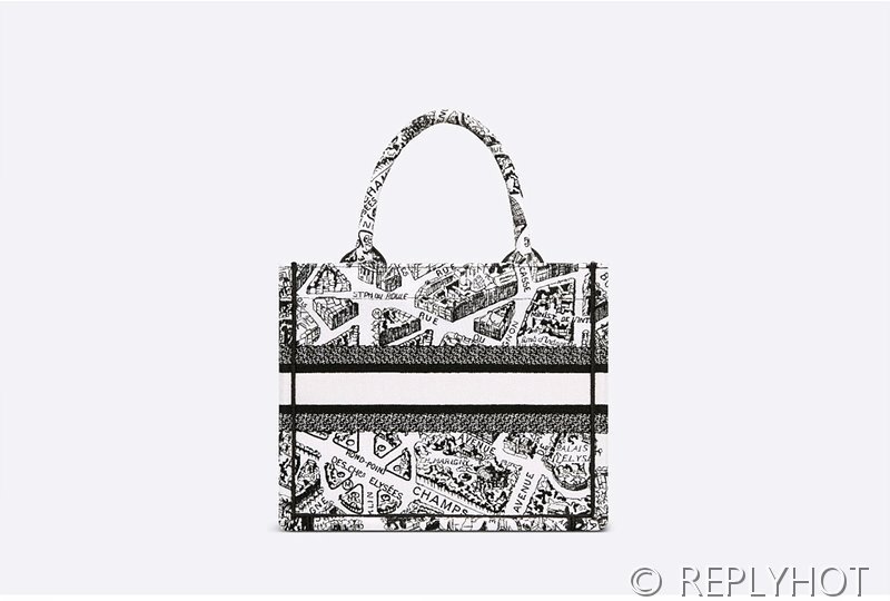 디올 북 토트 백 / 스몰 / 파리 맵 [매장가455만원대]