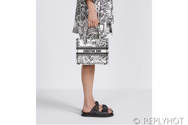 디올 북 토트 백 / 스몰 / 파리 맵 [매장가455만원대]