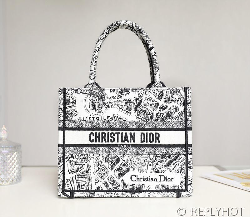 디올 북 토트 백 / 스몰 / 파리 맵 [매장가455만원대]