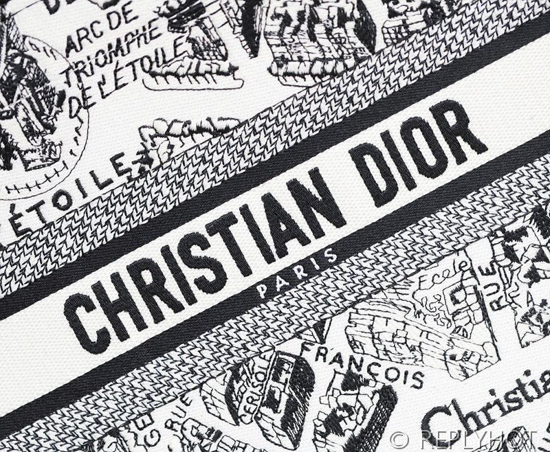 디올 북 토트 백 / 스몰 / 파리 맵 [매장가455만원대]