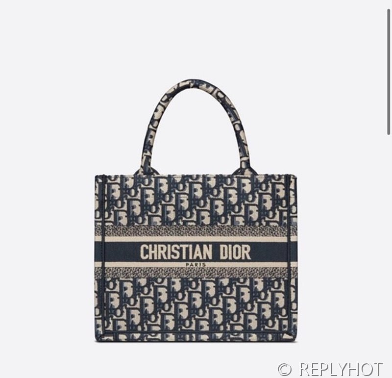 디올 북 토트 백 / 스몰 / 오블리크블루 [매장가455만원대]