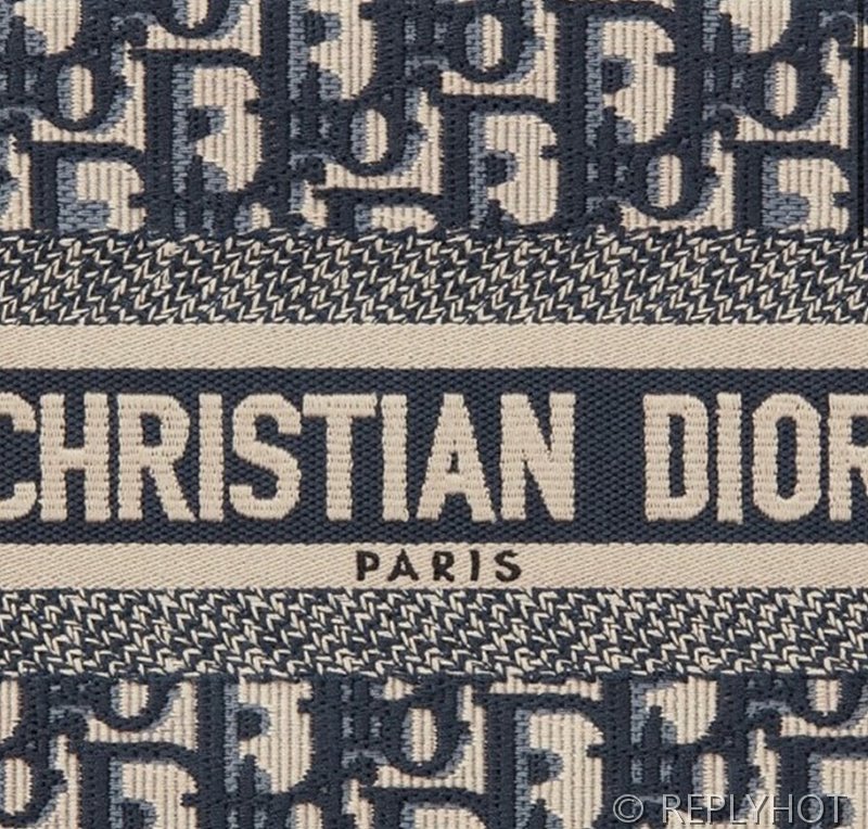 디올 북 토트 백 / 스몰 / 오블리크블루 [매장가455만원대]