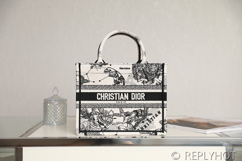 디올 북 토트 백 / 스몰 / 별자리무늬 [매장가455만원대]