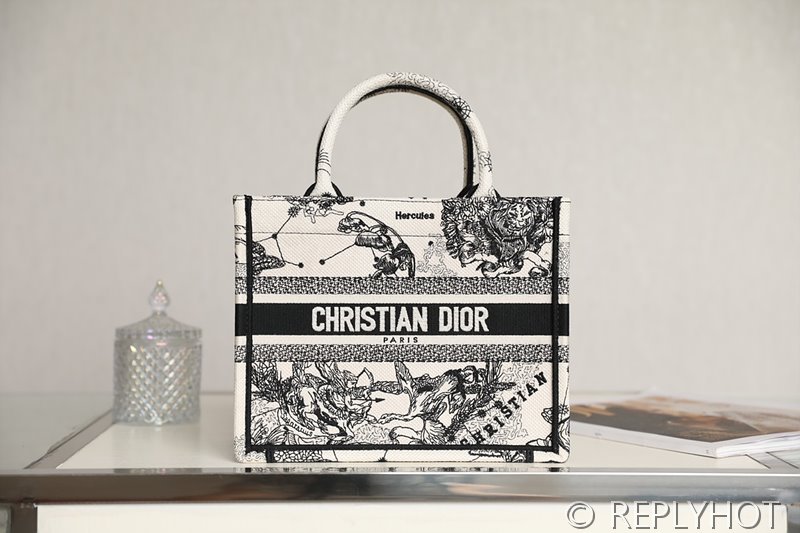 디올 북 토트 백 / 스몰 / 별자리무늬 [매장가455만원대]
