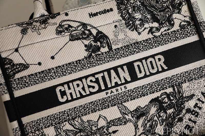디올 북 토트 백 / 스몰 / 별자리무늬 [매장가455만원대]