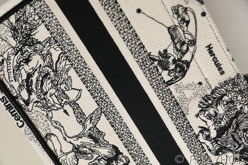 디올 북 토트 백 / 스몰 / 별자리무늬 [매장가455만원대]