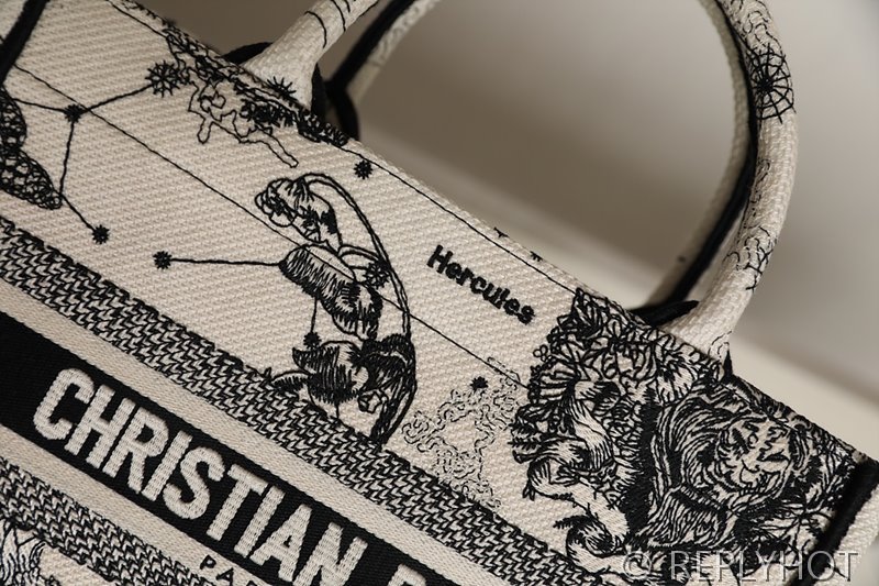 디올 북 토트 백 / 스몰 / 별자리무늬 [매장가455만원대]