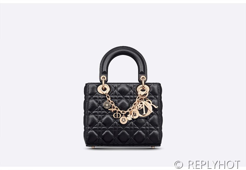 디올 30 Montaigne 몽테인 백참 [매장가 145만원대]