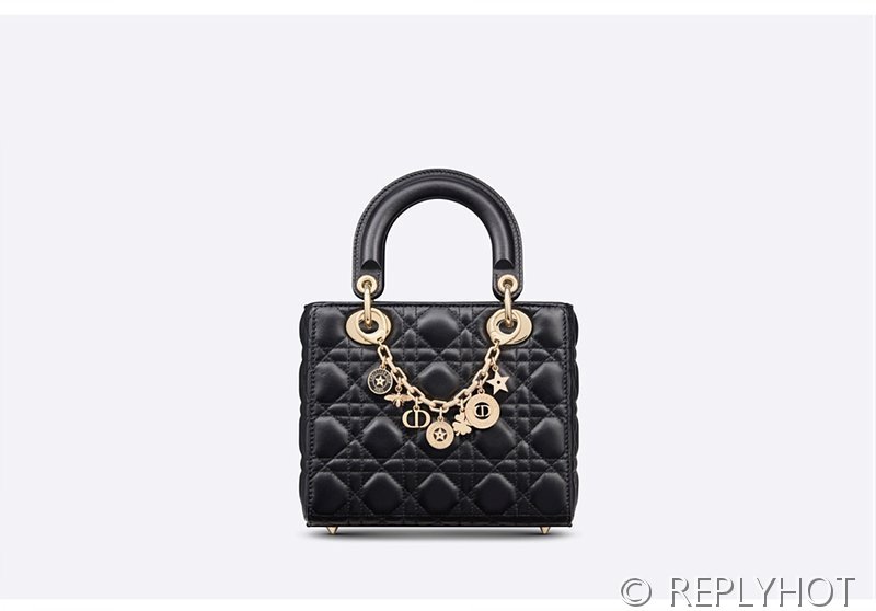 디올 30 Montaigne 몽테인 백참 [매장가 145만원대]