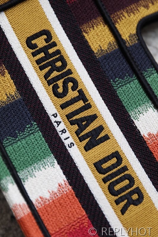 디올 북 토트 백 / 미니 / 컬러풀 스트라이프 [매장가420만원대]