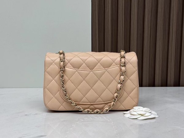 CHANEL Classic Flap Bag –  Apricot Pink(20cm)