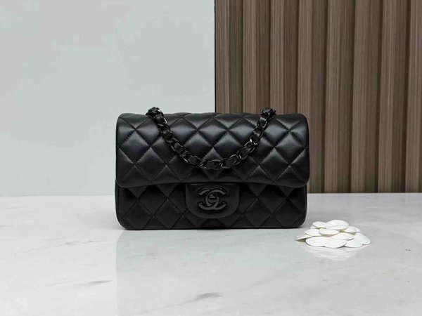 Chanel Classic Flap 20cm – Seasonal Limited Edition / Black × Black Hardware