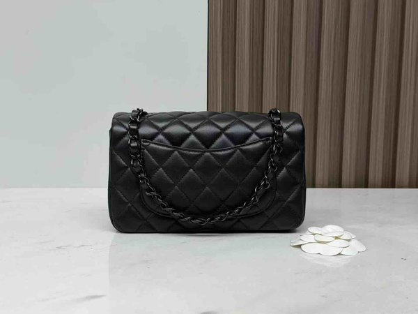 Chanel Classic Flap 20cm – Seasonal Limited Edition / Black × Black Hardware