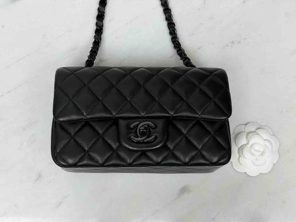 Chanel Classic Flap 20cm – Seasonal Limited Edition / Black × Black Hardware