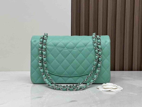 Chanel Classic Flap 25cm – Seasonal Limited Edition / Green