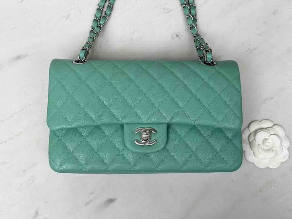 Chanel Classic Flap 25cm – Seasonal Limited Edition / Green