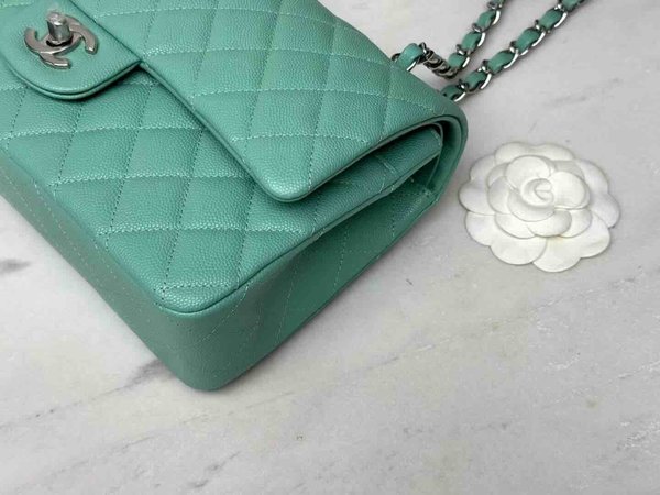 Chanel Classic Flap 25cm – Seasonal Limited Edition / Green