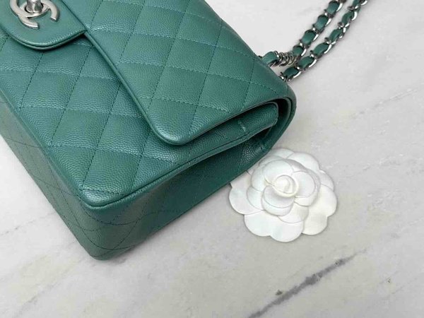 Chanel Classic Flap 25cm – Limited Edition / Pine Green