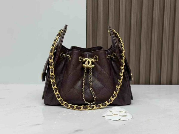 Chanel 26C Mini 25 Hobo Bag – Dark Brown Size: 20 × 22 × 12.5 cm