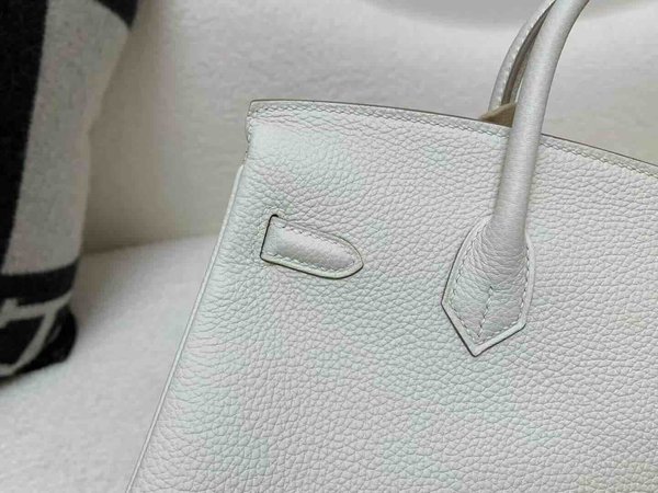 Hermès Birkin 25 Togo Mushroom x Palladium Hardware