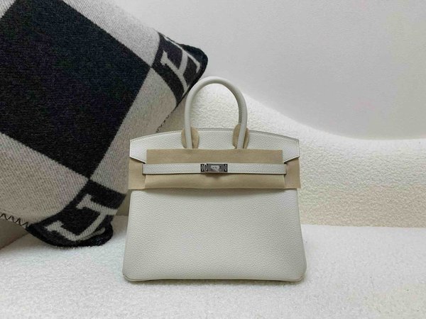 Hermès Birkin 25 Togo Mushroom x Palladium Hardware