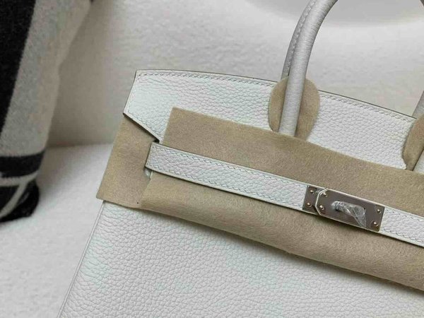 Hermès Birkin 25 Togo Mushroom x Palladium Hardware