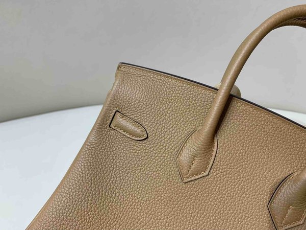 Hermès Birkin 25 Togo Chai x Palladium Hardware