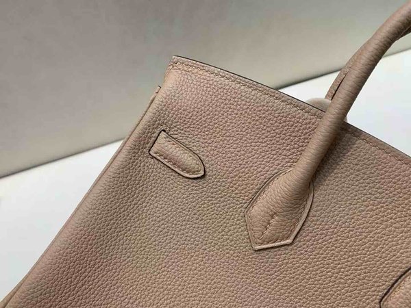 Hermès Birkin 25 Togo Chai x Gold Hardware