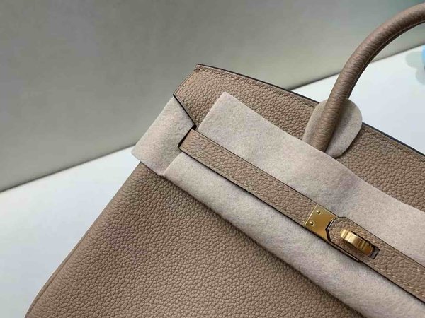 Hermès Birkin 25 Togo Chai x Gold Hardware