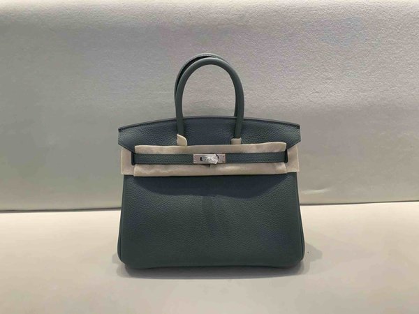 Hermès Birkin 25 Togo Vert Amande x Palladium Hardware