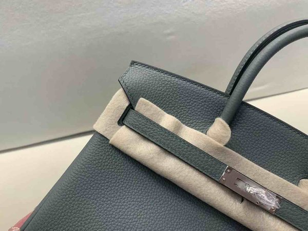 Hermès Birkin 25 Togo Vert Amande x Palladium Hardware