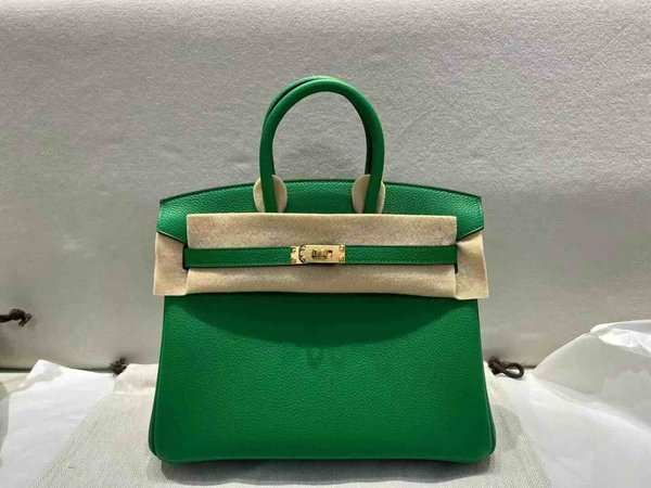 Hermès Birkin 25 Togo Bamboo Green x Gold Hardware