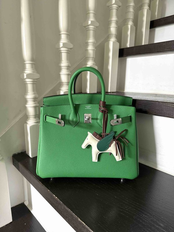 Hermès Birkin25 Togo Bamboo Greenx Palladium Hardware