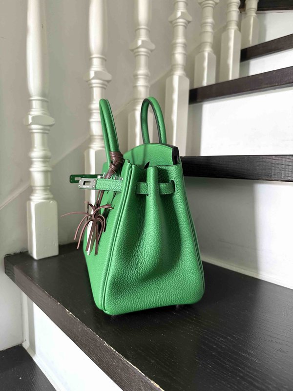 Hermès Birkin25 Togo Bamboo Greenx Palladium Hardware