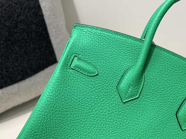Hermès Birkin 25 Togo Vert Jade x Palladium Hardware