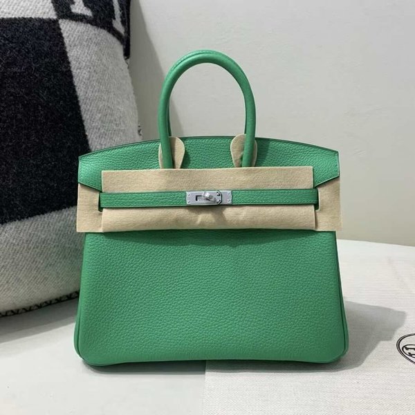 Hermès Birkin 25 Togo Vert Jade x Palladium Hardware