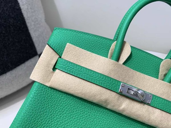 Hermès Birkin 25 Togo Vert Jade x Palladium Hardware