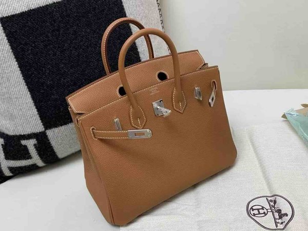Hermès Birkin 25 Gold Togo x Palladium Hardware