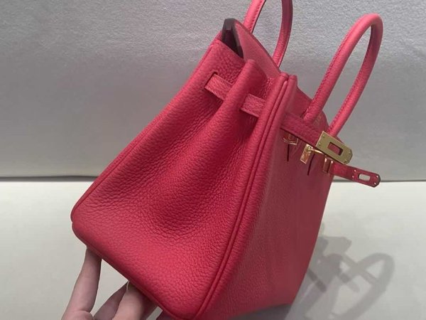 Hermès Birkin 25 Togo Rose Jaipur x Gold Hardware