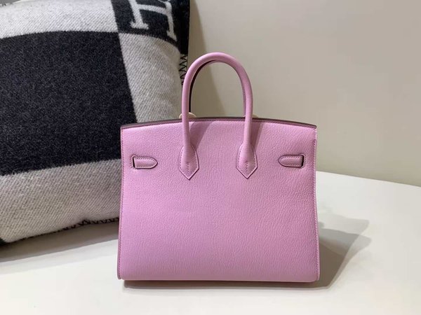Hermès Birkin 25 Togo Mauve Sylvestre x Gold Hardware(HCP)