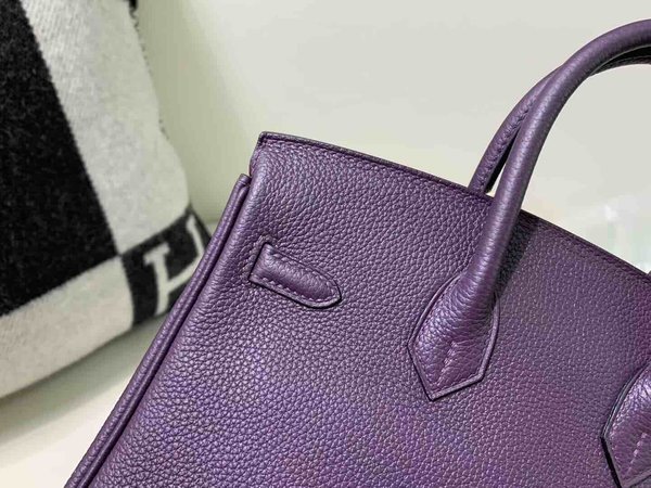 Hermès Birkin 25 Togo Raisin Purple x Gold Hardware