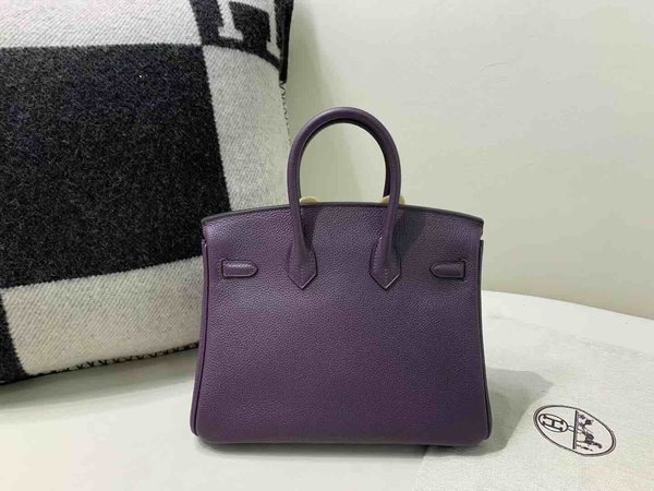 Hermès Birkin 25 Togo Raisin Purple x Gold Hardware
