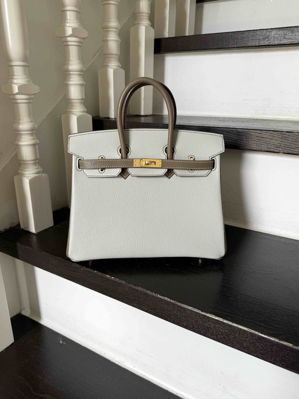 Hermes Birkin25 Chevre Mysore Epsom x Palladium Hardware