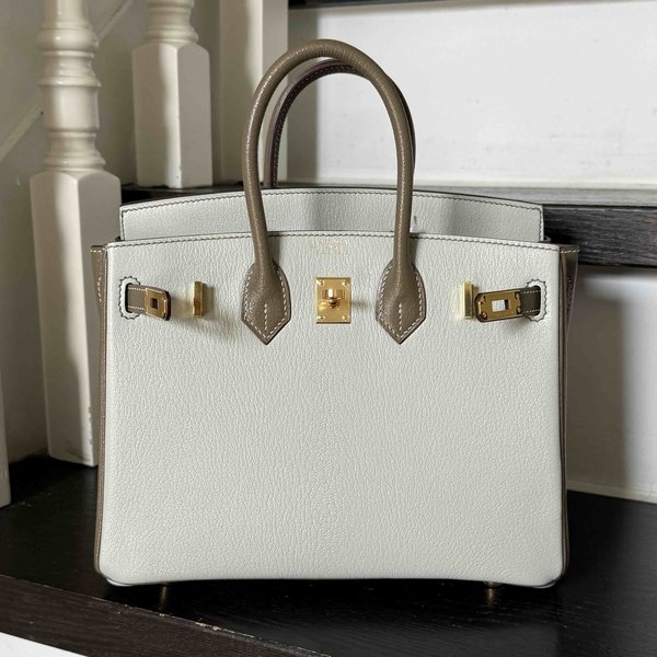 Hermes Birkin25 Chevre Mysore Epsom x Palladium Hardware