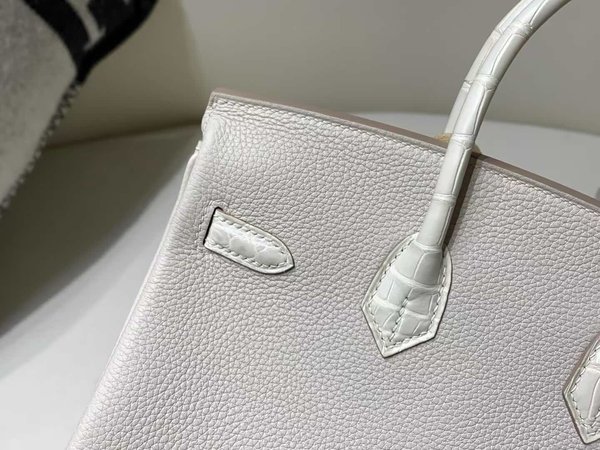Hermès Birkin 25 Touch Togo with Crocodile 8L Beton x Palladium Hardware