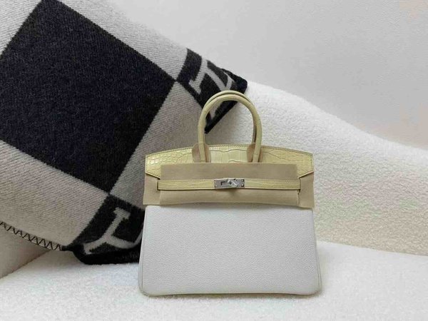 Hermès Birkin 25 Touch Mushroom Togo and Matte Alligator Vanille x Palladium Hardware