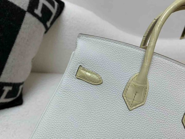 Hermès Birkin 25 Touch Mushroom Togo and Matte Alligator Vanille x Palladium Hardware