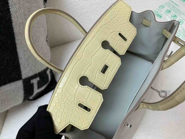 Hermès Birkin 25 Touch Mushroom Togo and Matte Alligator Vanille x Palladium Hardware