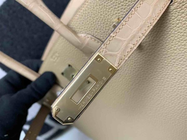 Hermès Birkin 30 Touch Chai Togo & Alligator x Champagne Gold Hardware